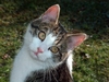 Cecky, sie ist eine ganz Liebe