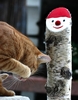 ich lach mich kaputt, das soll ein Weihnachtsmann sein?