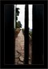 "Zaungastblick" in den Garten von Schloss Johannisberg