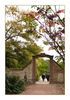 Garten Kloster Eberbach, Eltville (Rheingau)