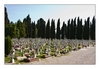 Friedhof San Michele
