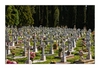 Friedhof San Michele