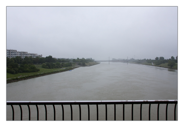 Donau im Regen